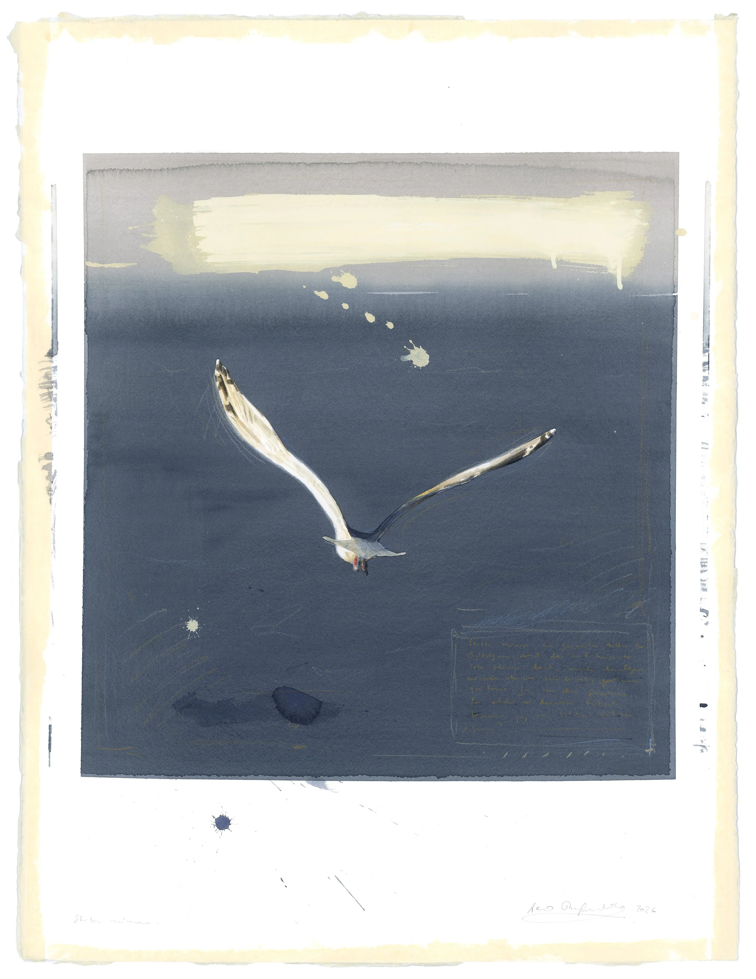 Birds — Axel Thorenfeldt